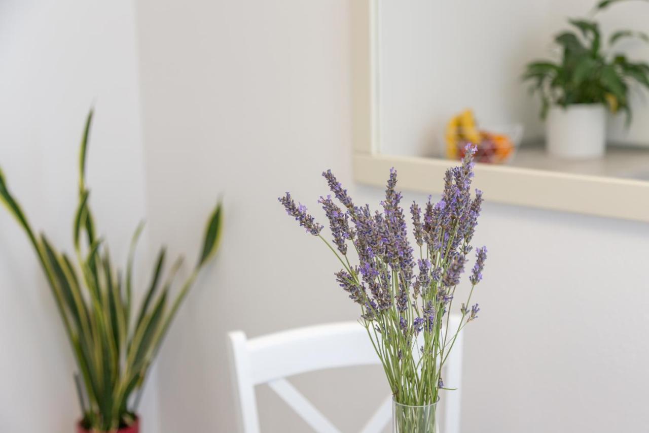 Apartment Petric Хвар Екстериор снимка